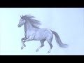 Уроки рисования. Как научиться рисовать лошадь карандашом | Art School