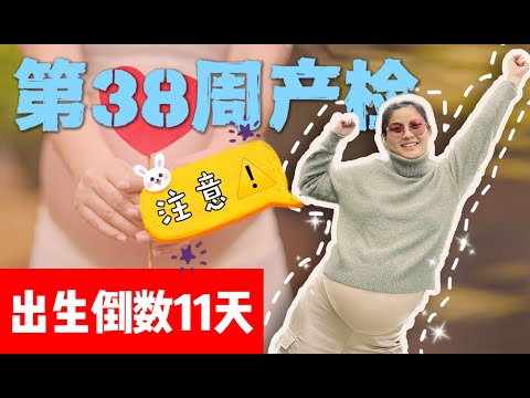 宝宝进入随时出生的状态！【孕期Vlog】第38周产检，新医生告诉我们不要做助产操！｜Baby goes into a ready to be born state!