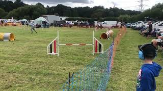 19 Int Jumping C3-4 Chertsey Show 13th Aug 23