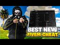 The best FiveM software of 2026?!!