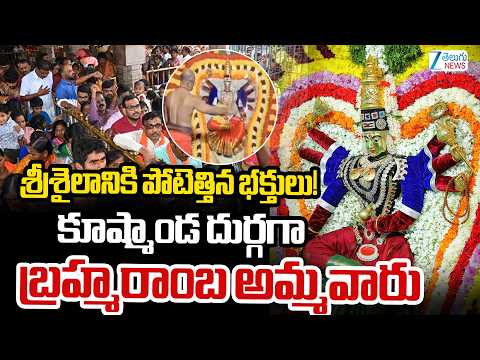 Heavy Rush of Devotees at Srisailam! Goddess Bhramaramba as Kushmanda Durga Devi |  ZEE Telugu News - ZEE24TELUGUNEWS