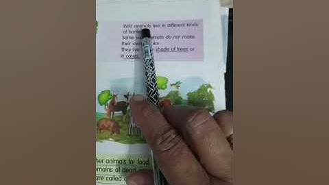 Class 2 Chapter 4 The Wonderful World of Animals (part3)