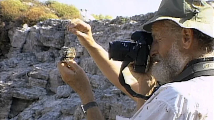 Galapagos Finch Evolution  HHMI BioInteractive Video