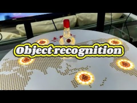 object recognition device - 物体识别装置