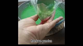 Cara unik membungkus kue cantik manis pandan mutiara