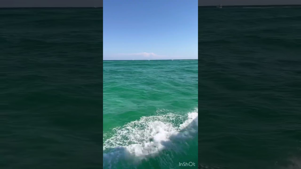 Dolphin Cruise in Destin, FL🐬 