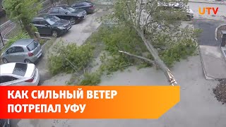 На Уфу обрушился шквалистый ветер: последствия