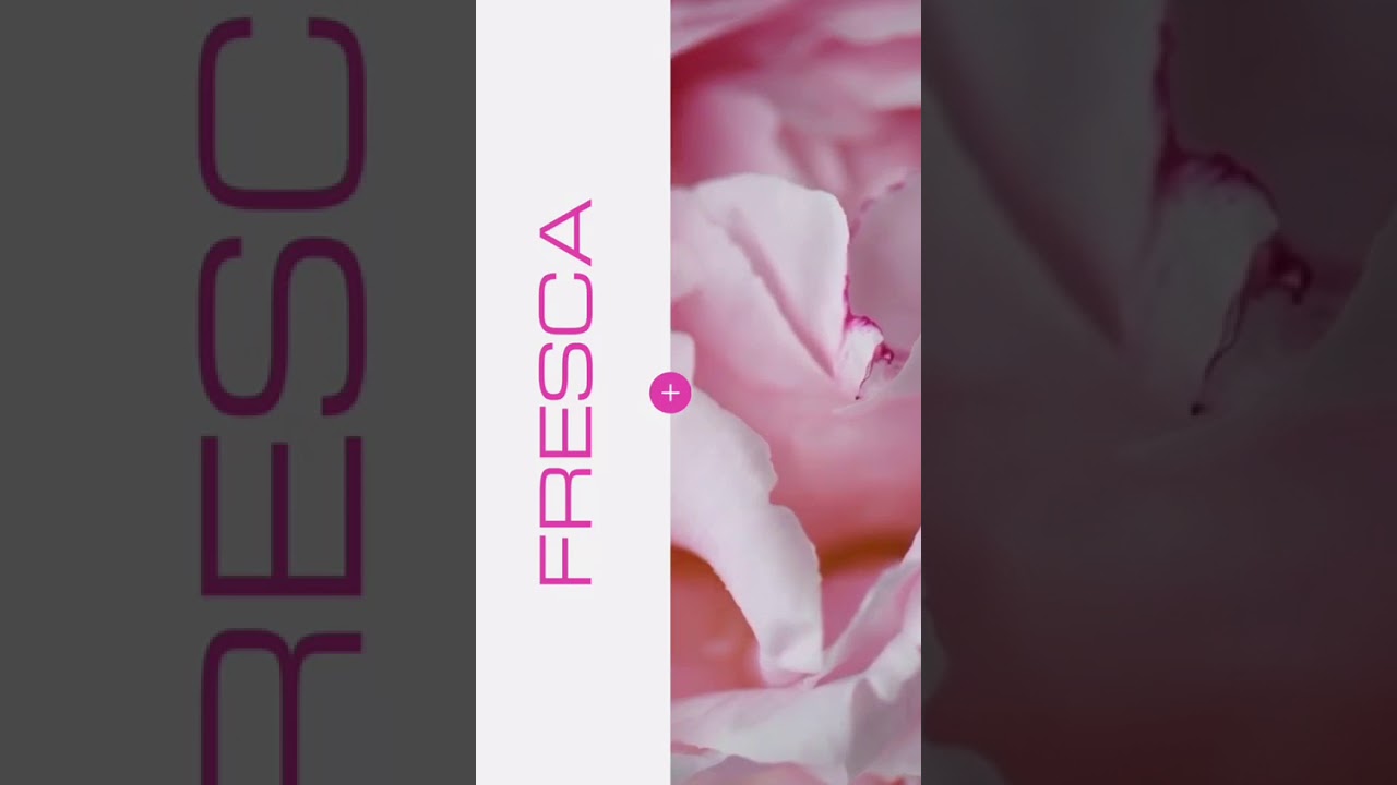 BRUMA DE ROSAS SWISS JUST EDICIÓN LIMITADA