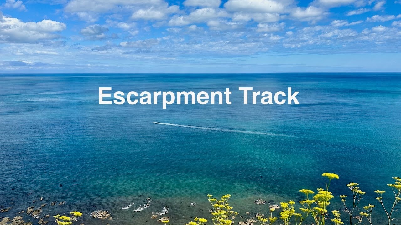 Escarpment track, Paekakariki, New Zealand
