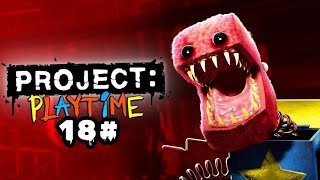 Project playtime 18#