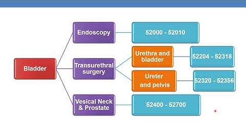 2023 CPT CODING FOR SURGERY URINARY SYSTEM PART 3B
