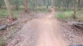 Daisy Hill Mountain Bike Track 'Jumping Ant' January 2023
