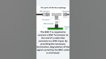 Bus Topology In Computer Networks | Comptia Network+ | Signal Reflection | BNC | #network #useful