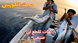 Una feroz batalla contra el monstruo de las profundidades en Tarfaya (el mero) con Rais Kashtour.