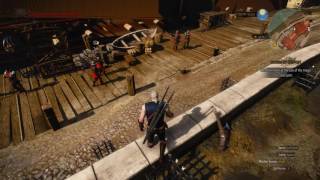 Witcher 3 - HOW TO FIX graphics glitches
