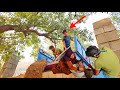 Daily Life With Mahmoud Azam рџЏћпёЏ Ghazal†S Bath Ali Spreads Soil On The Roof рџ јрџ Daily Life With Mahmoud Azam рџЏћпёЏ Ghazal†S Bath Ali Spreads Soil On The Roof рџ јрџ