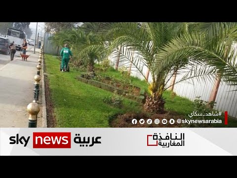 مشروع مغربي واعد لزيادة المساحات الخضراء النافذة المغاربية