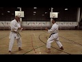 Kumite Training 2 w/ Sensei Gyula Büki, 7th Dan Shotokan Karate