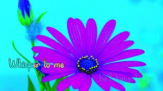 He'll have to go (Karaoke) Jim Reeves, One stereo track with left(music)/right(vocal) channels.