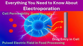 Pulsed Electric Field in Food Processing: Electroporation