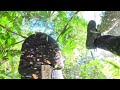 Maybe Don't Do Big MTB Jumps Alone... Quest for Blue Steel EP 13