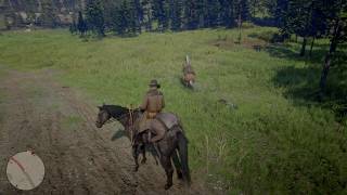 Horse kills NPC | Red Dead Redemption 2
