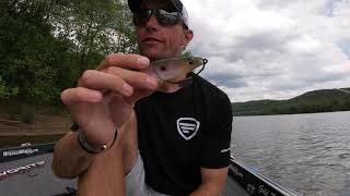 Megabass Mag Draft Freestyle - THIS BAIT IS KILLER