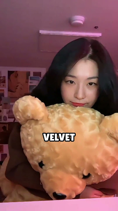 Are Red Velvet Members Really at Odds?