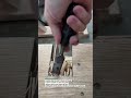 Fast Sharp Wood Chisel Trick for Clean Square Mortise Cuts!!!!!! #Woodworking #Carpentry #HandTools