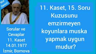 124)(11 - 15 - Sc19) Kuzusunu Emzirmeyen Koyunlara Muska Yapmak Uygun Mudur? / Bornova - 14.01.1977