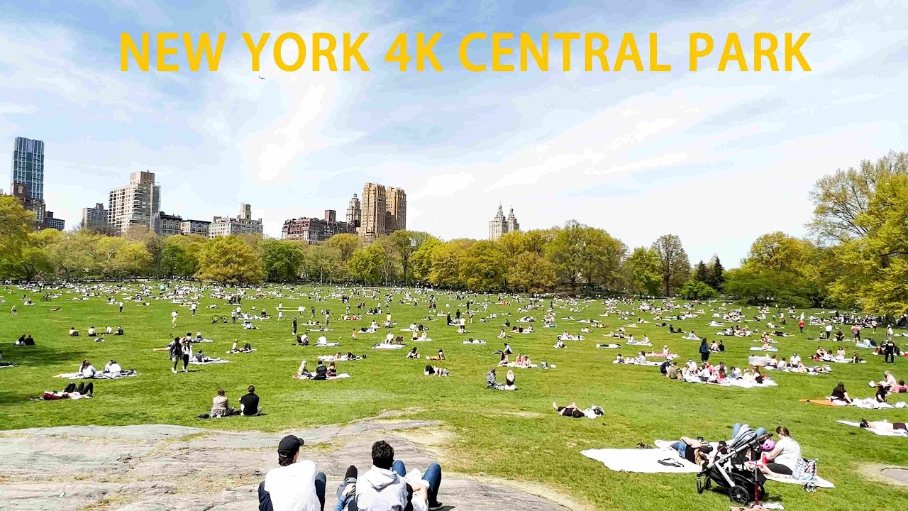 [4K]🇺🇸NEW YORK CITY- The Largest Sunbathing Lawn in Central Park | 57th street to  Central Park❤️