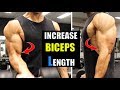 Grow Biceps length Fast- Fill Bicep & Forearm GAP(बाइसेप की लम्बाई बढ़ायें)