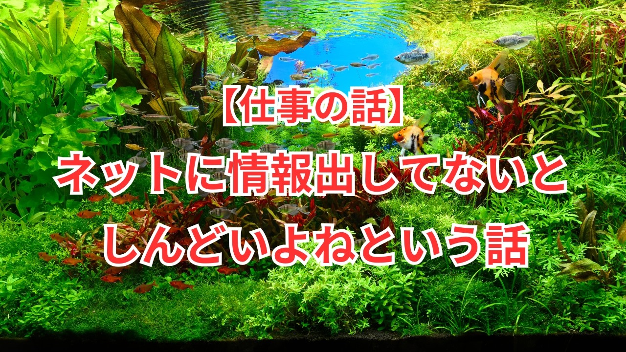 【仕事の話】どうして僕がグーグルのクチコミをお願いしているのか理由をお話します！