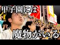 【悪夢】オリックス逆転負けで阪神王手、甲子園の大声援に半泣きになるオリファン