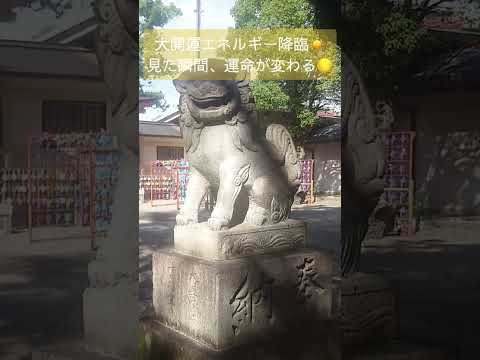 🦁今見たあなたは選ばれし者🦁※愛知県名古屋市矢田六所神社【最強パワースポット神社巡り】ショートで運気チャージ！#遠隔参拝 #神様 #ご利益 #大開運 #金運上昇 #良縁 #勝負運アップ #財運上昇