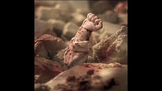 The Palestinian Holocaust