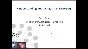 Understanding and using small RNA seq