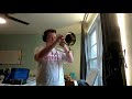 Can&#39;t Help Falling In Love (Elvis Presley) Flugelhorn Cover