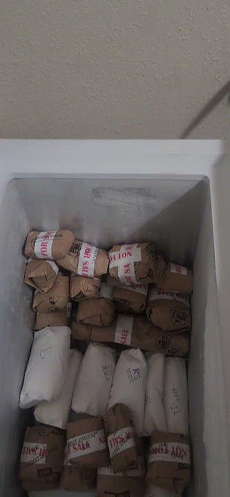 The world's best freezer 😋 #viral #trending #hunting #shorts #food