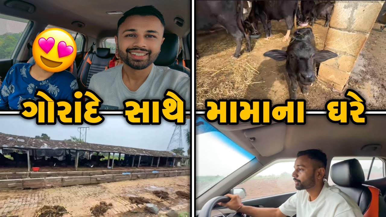 બોવ જાજા સમય પછી માંડવી મામા ના ઘરે 