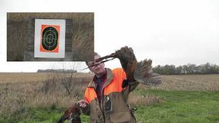 Randy Wakeman Outdoors: Illinois Pheasants