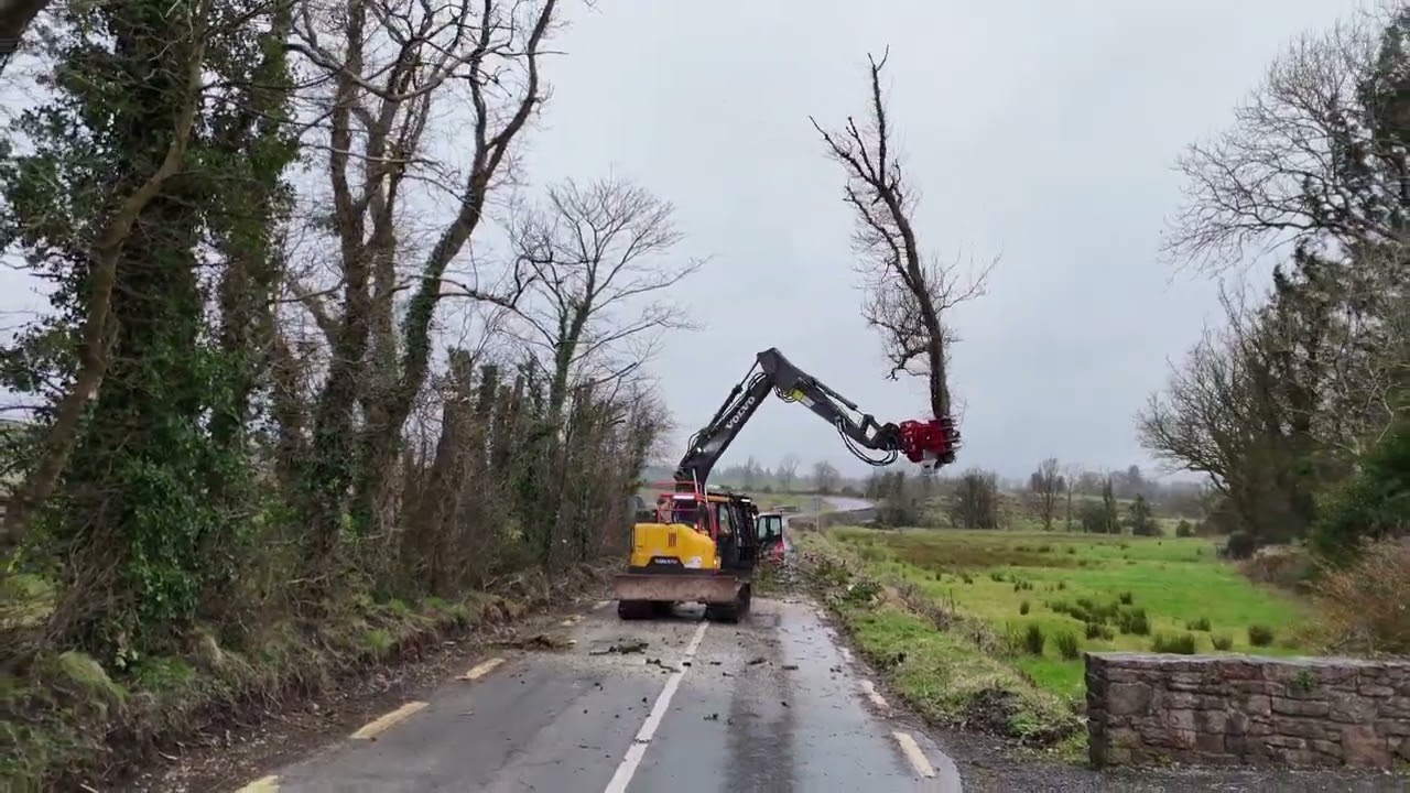 Road side Ash dieback removal 🌳 @Barberstreeservices 