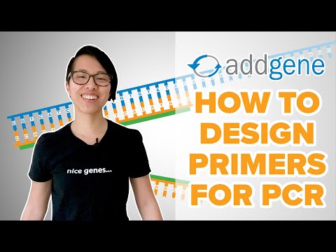 How to Design Primers for PCR