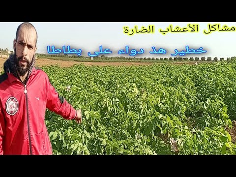 فيديو: آلة قطع للخشب. معدات النجارة