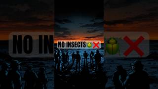 What If Every Insect Disappeared Tomorrow? 🐝🌍