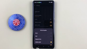 Gird, Diagonal lines, Golden spiral in camera on OPPO Reno10 5G Android 13