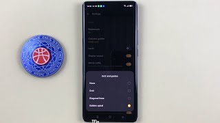 Gird, Diagonal lines, Golden spiral in camera on OPPO Reno10 5G Android 13