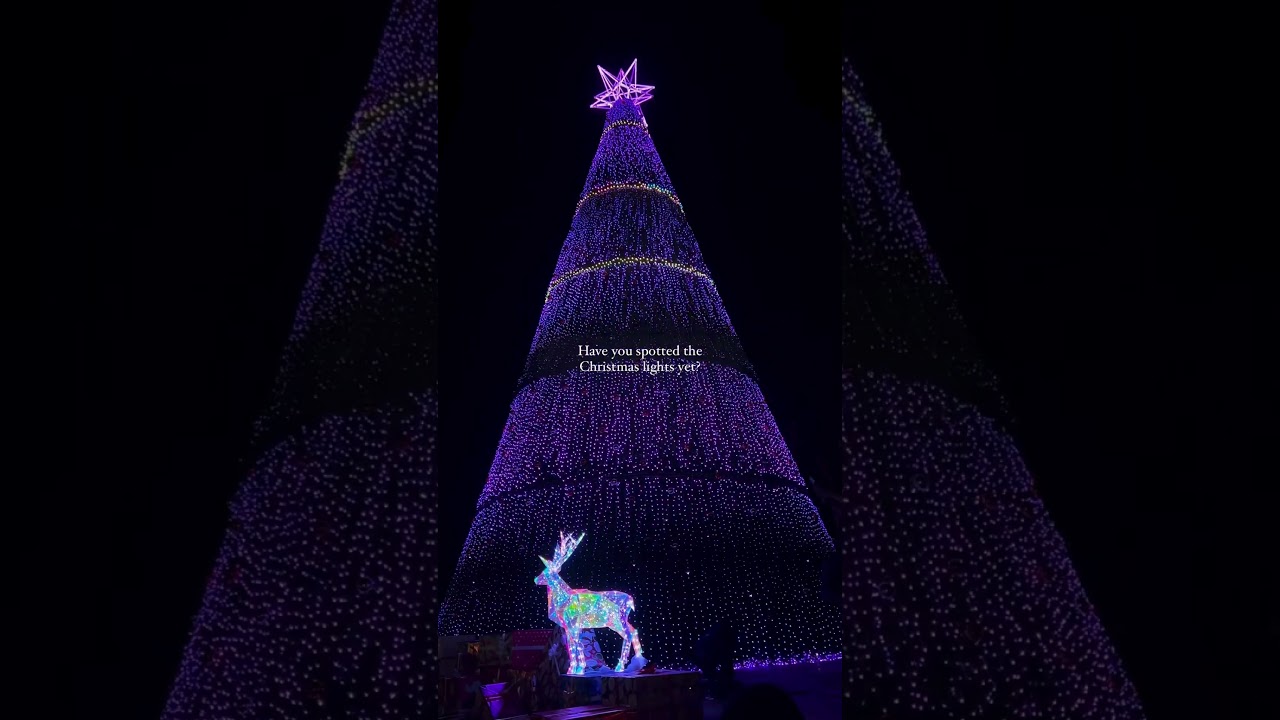 Carter road Bandra Christmas decorations 