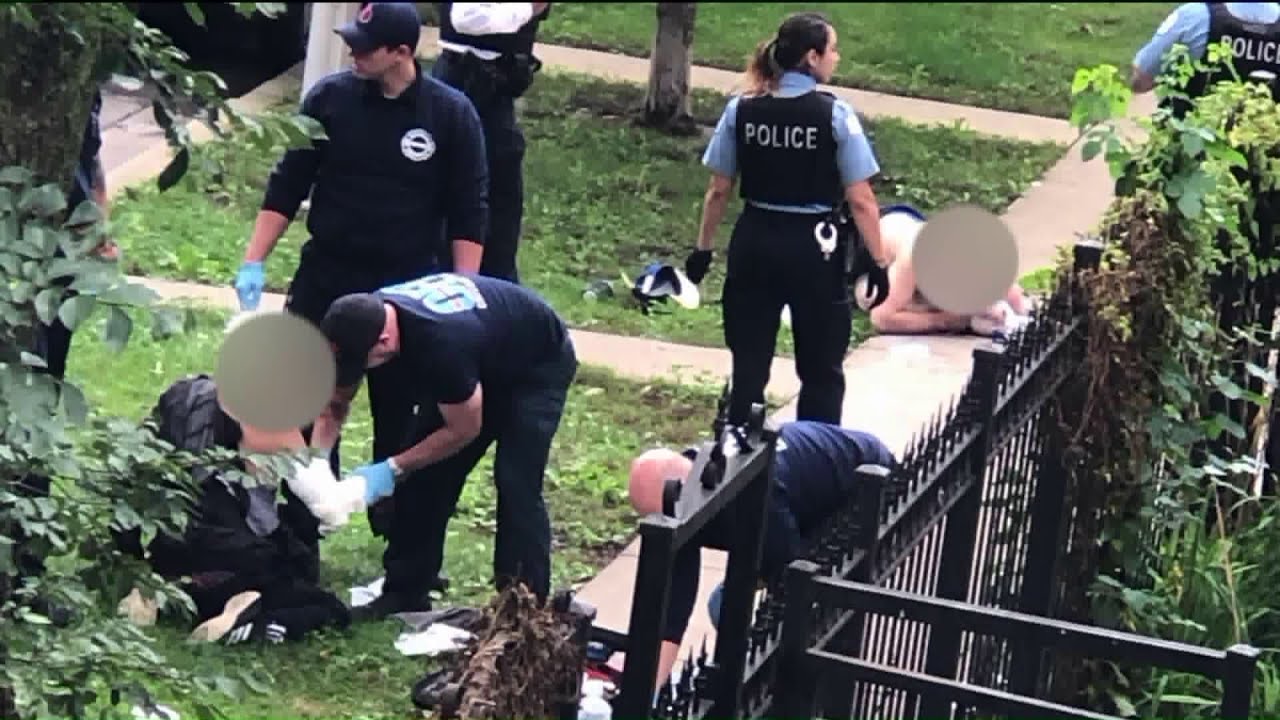 newspaper mockup Police shoot, kill dog after it reportedly attacks people walking it on Northwest Side