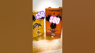 BATTLE of the BUDGET Tremolo Pedals!! #guitarpedals #tcelectronics #guitar